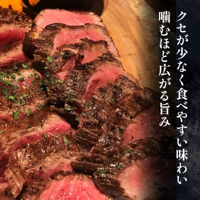 馬肉ヒレステーキ用　700g