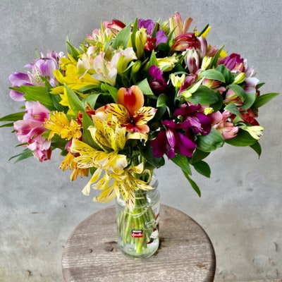 アルストロメリア 切花(色・品種おまかせ) 40センチ20本