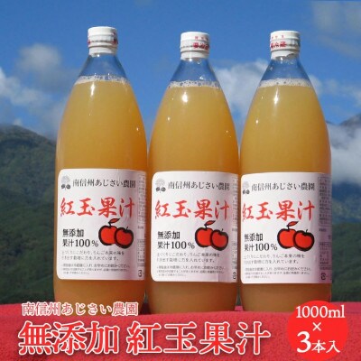 【南信州あじさい農園】紅玉果汁(無添加紅玉ジュース) 3本入り