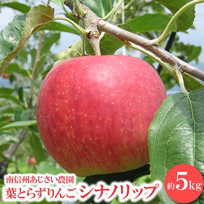 葉とらずりんご　シナノリップ　約5kg