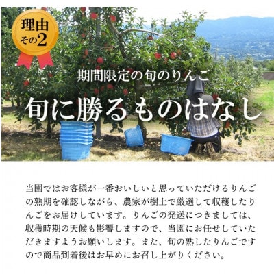 【南信州あじさい農園】葉とらずりんご(紅玉)約9kg