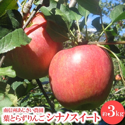 葉とらずりんご　シナノスイート　約3kg