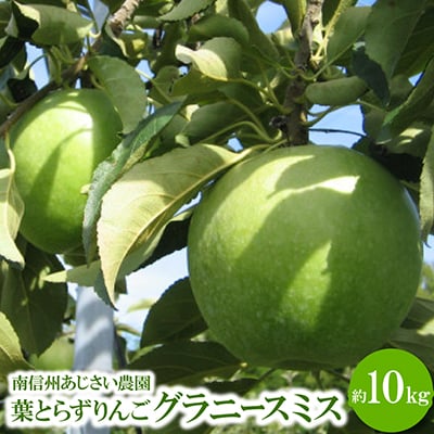 葉とらずりんご　グラニースミス　約10kg