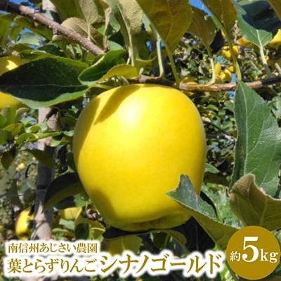 葉とらずりんご　シナノゴールド　約5kg