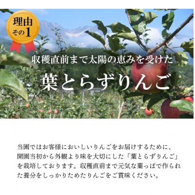 【南信州あじさい農園】葉とらずりんご(シナノゴールド)約5kg