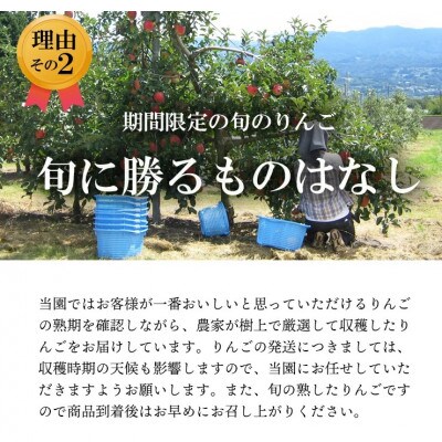 【南信州あじさい農園】葉とらずりんご(シナノゴールド)約5kg