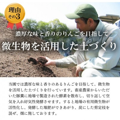 【南信州あじさい農園】葉とらずりんご(シナノゴールド)約5kg