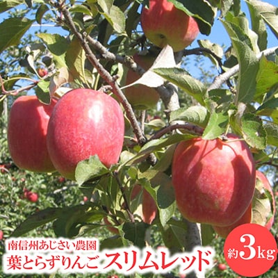 葉とらずりんご　スリムレッド　約3kg