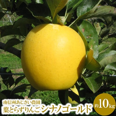 葉とらずりんご　シナノゴールド　約10kg