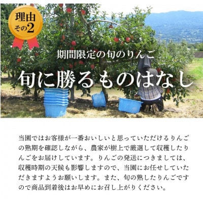 【南信州あじさい農園】葉とらずりんご(シナノゴールド)約10kg