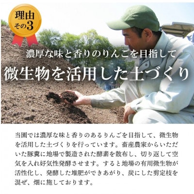 【南信州あじさい農園】葉とらずりんご(サンふじ)約3kg