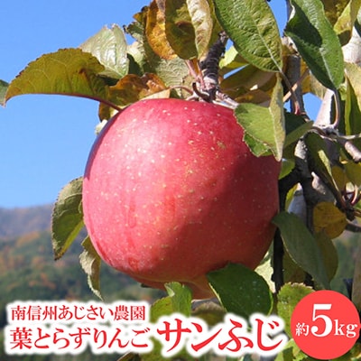 葉とらずりんご　サンふじ　約5kg