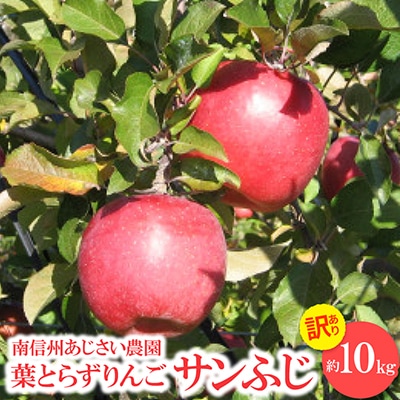 【訳あり】葉とらずりんご　サンふじ　約10kg
