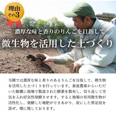 【南信州あじさい農園】葉とらずりんご(サンふじ)約10kg家庭用