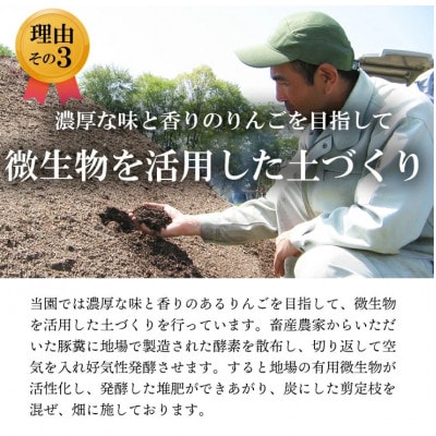 【南信州あじさい農園】葉とらずりんご(サンふじ)約15kg家庭用