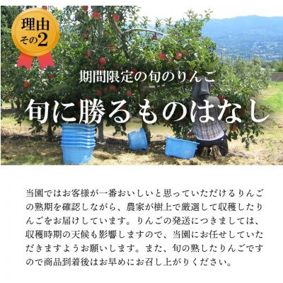 【南信州あじさい農園】葉とらずりんご(サンふじ)　約15kg