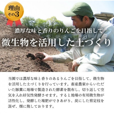 【南信州あじさい農園】葉とらずりんご(サンふじ)　約15kg