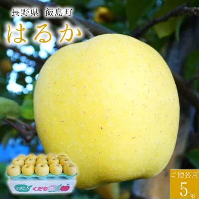 【桃沢晴香園】はるか(りんご)5kg