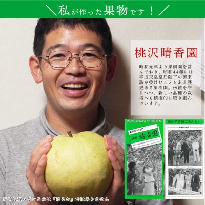 【桃沢晴香園】はるか(りんご)5kg