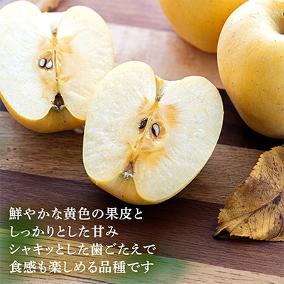 【桃沢晴香園】はるか(りんご)5kg