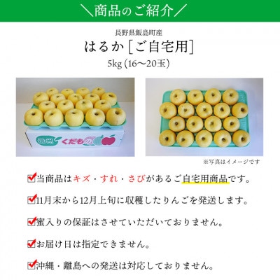 【桃沢晴香園】はるか(りんご)5kg　ご自宅用