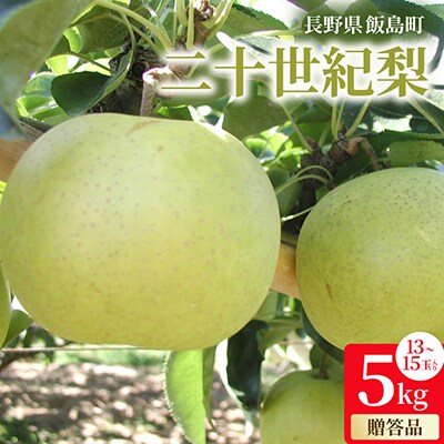 二十世紀梨贈答品 計5kg(13～15玉入り)