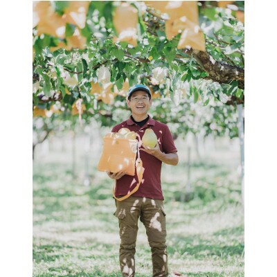 二十世紀梨贈答品 計5kg(13～15玉入り)