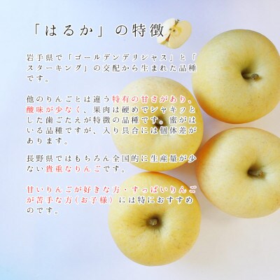 【桃沢晴香園】はるか(りんご)3kg