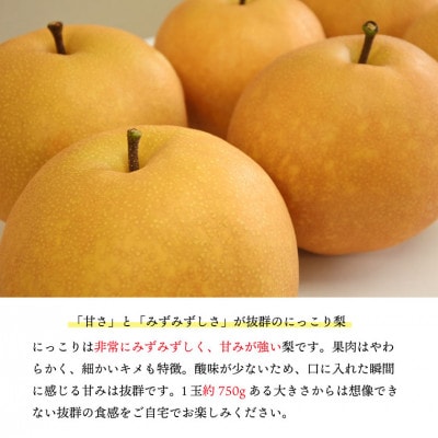【桃沢晴香園】にっこり梨 約3kg(4玉)