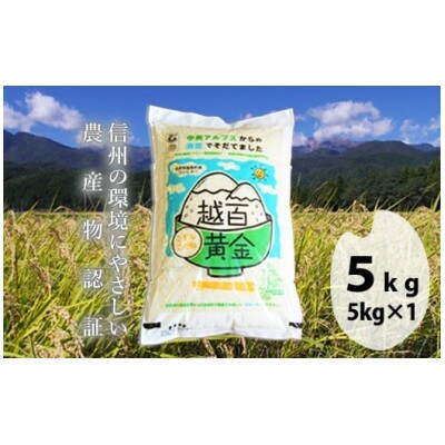 長野県産 越百黄金米(精米)5kg