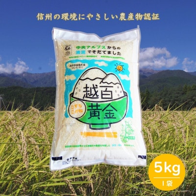 長野県産 越百黄金米(精米)5kg