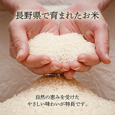 長野県産 越百黄金米(精米)5kg
