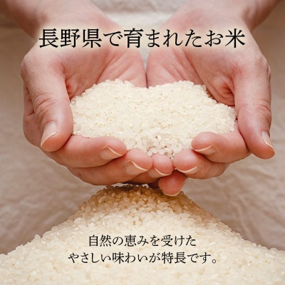 長野県産 越百黄金米(精米)5kg