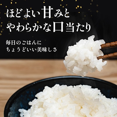 長野県産 越百黄金米(精米)5kg