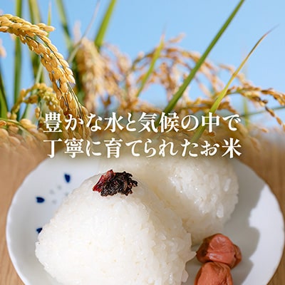 長野県産 越百黄金米(精米)5kg