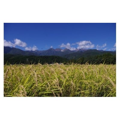 長野県産 みやましじみ米(精米)5kg