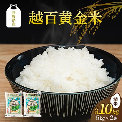 長野県産 越百黄金米(精米)5kg×2袋