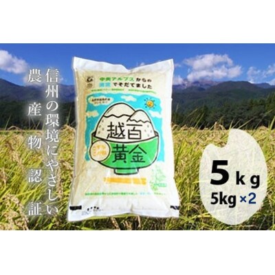 【さとふる限定】長野県産 越百黄金米(精米)5kg×2袋