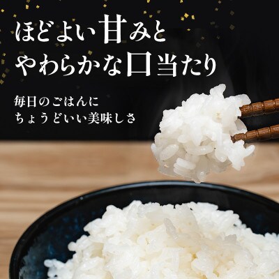【さとふる限定】長野県産 越百黄金米(精米)5kg×2袋