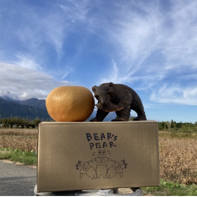 BEAR's PEAR オリジナル梨ジュース 2種類 計8本