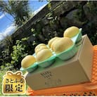 【さとふる限定】二十世紀梨 3kg 長野県飯島町産