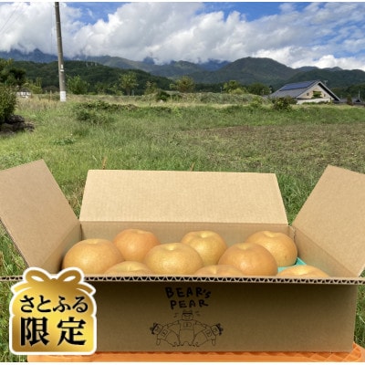 【さとふる限定】南水 3kg 長野県飯島町産