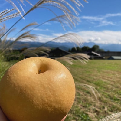 【さとふる限定】南水 3kg 長野県飯島町産