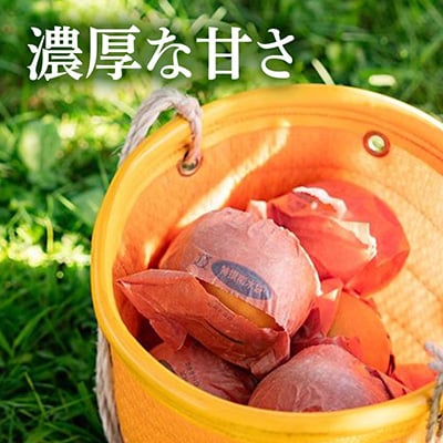 南水 3kg 長野県飯島町産