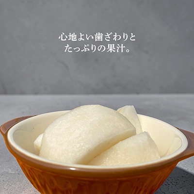 南水 3kg 長野県飯島町産