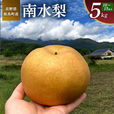 南水 5kg 長野県飯島町産