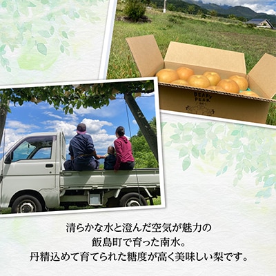 南水 5kg 長野県飯島町産