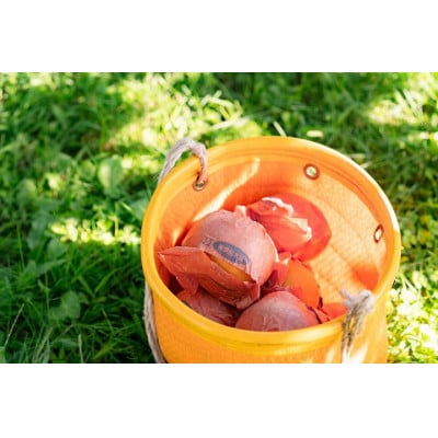 梨農家BEAR's PEAR の梨ジュース　250ml×8本