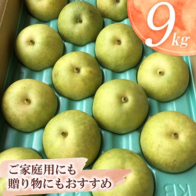 二十世紀梨 9kg(秀24～28玉)