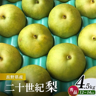 二十世紀梨 4.5kg(秀12～14玉)